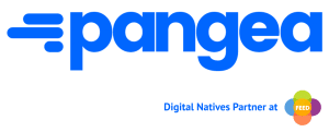 pangea-dnpartner-azul